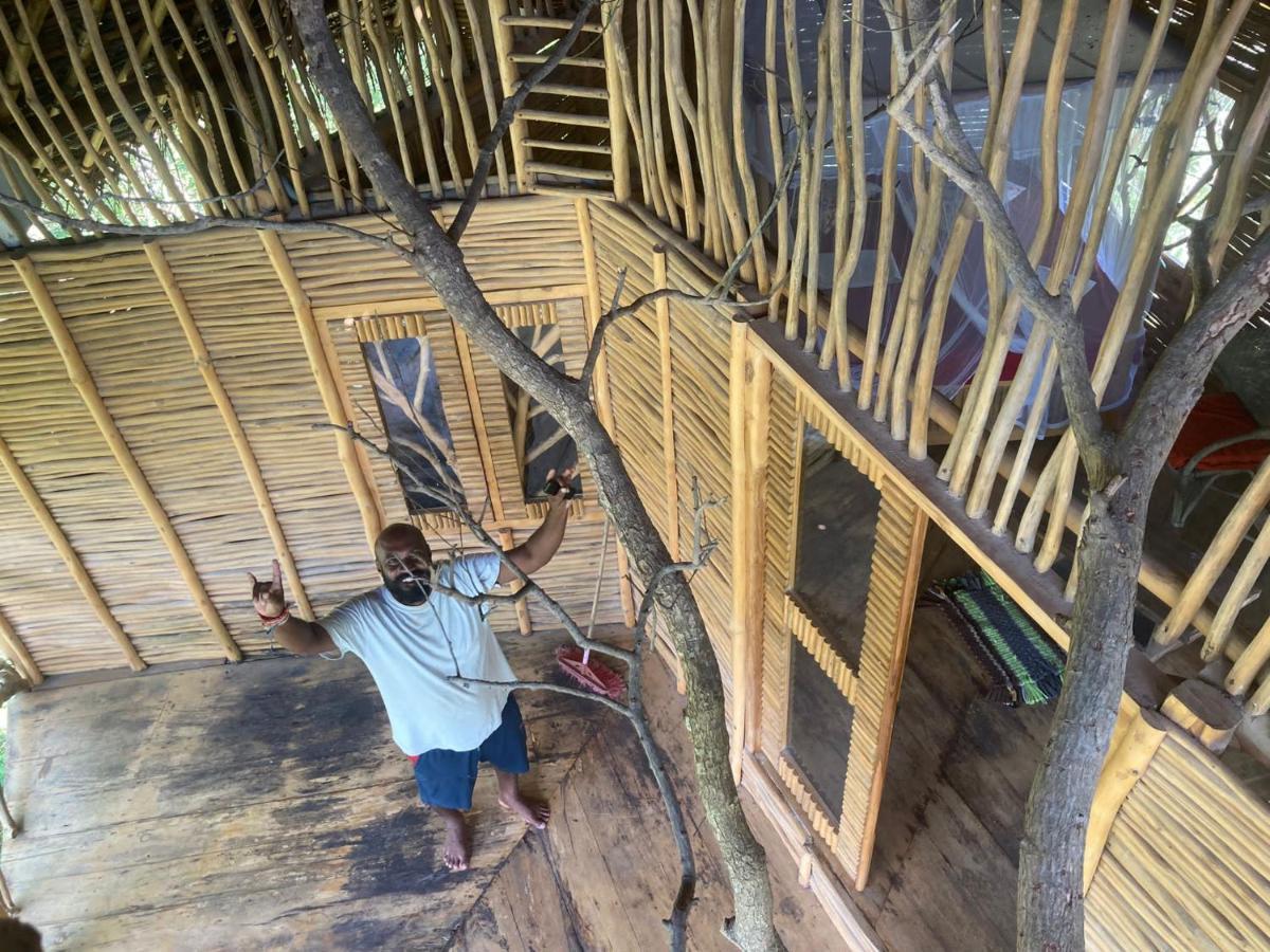 The Alpha Monkey Hotel & Tree House Tangalle Eksteriør billede