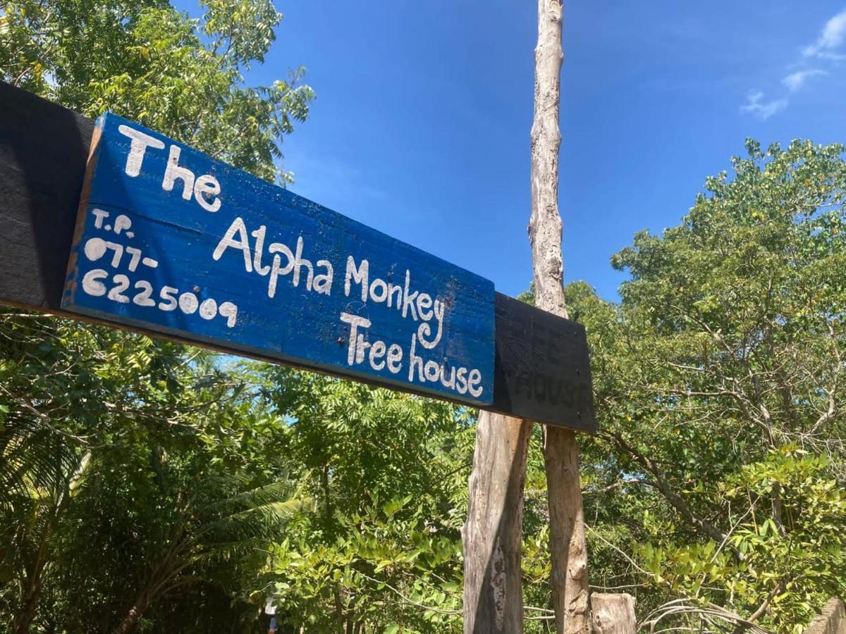 The Alpha Monkey Hotel & Tree House Tangalle Eksteriør billede