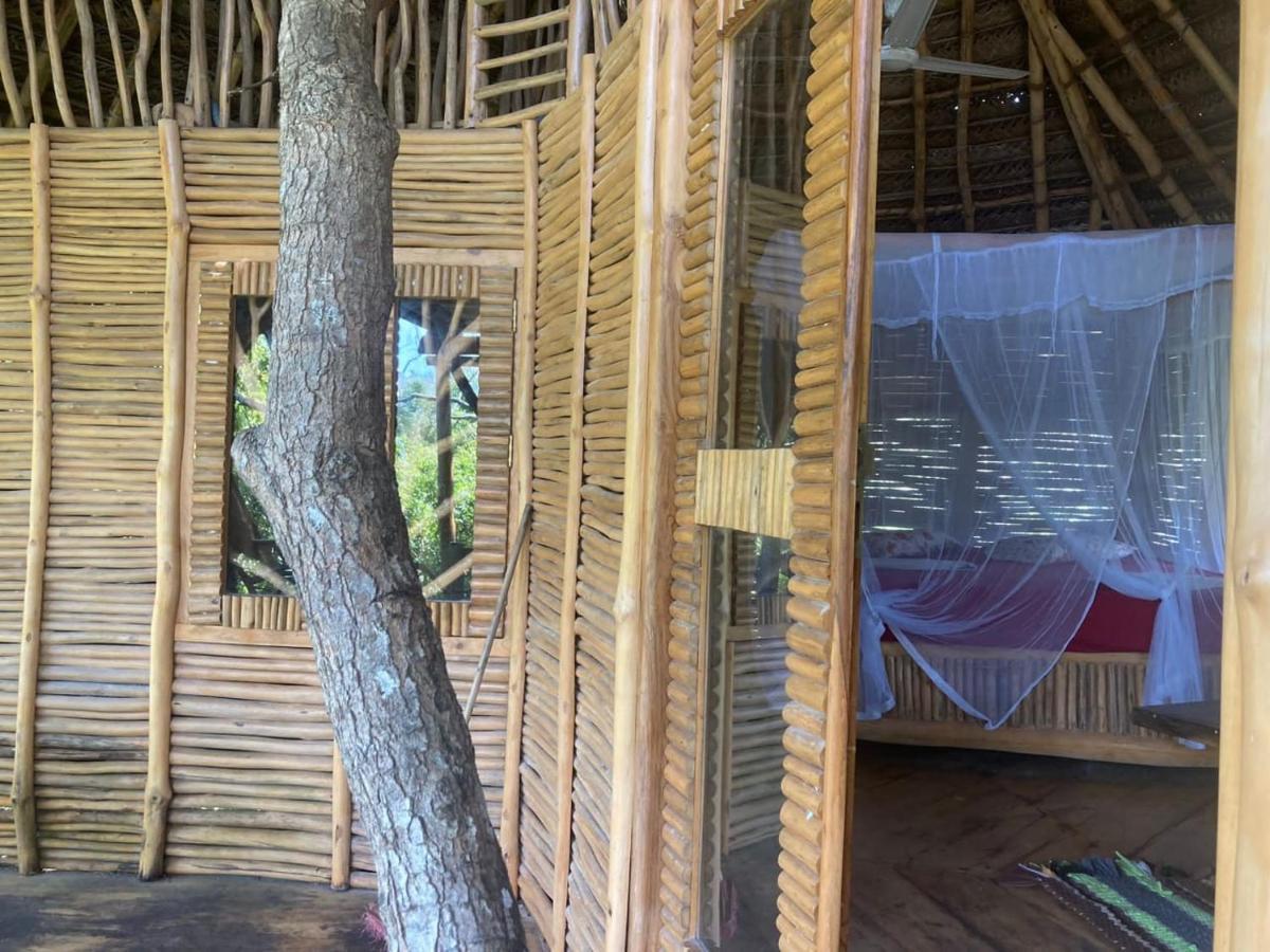 The Alpha Monkey Hotel & Tree House Tangalle Eksteriør billede