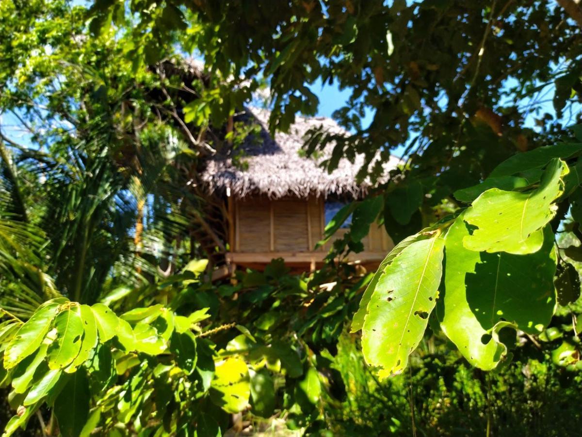 The Alpha Monkey Hotel & Tree House Tangalle Eksteriør billede