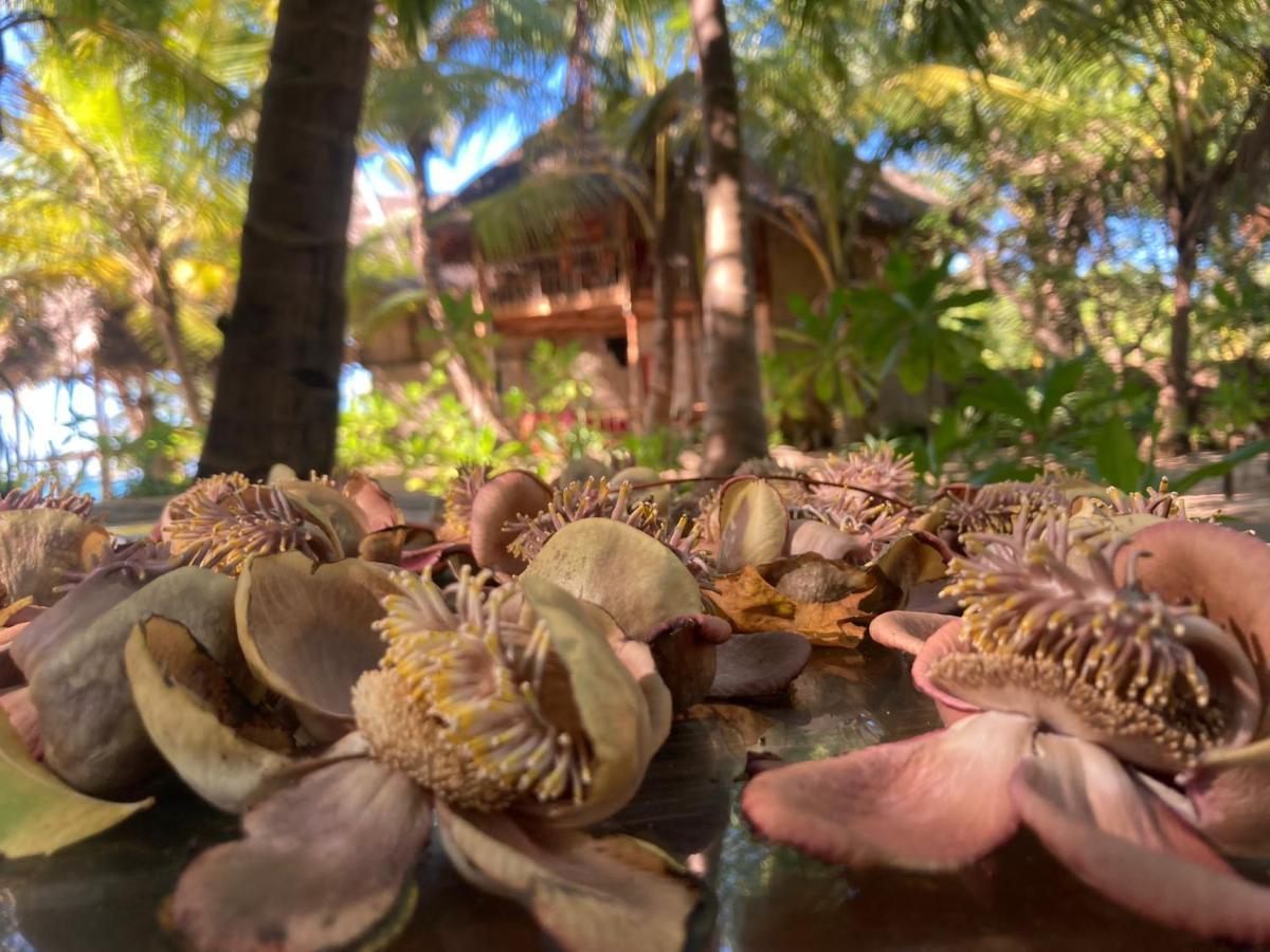 The Alpha Monkey Hotel & Tree House Tangalle Eksteriør billede