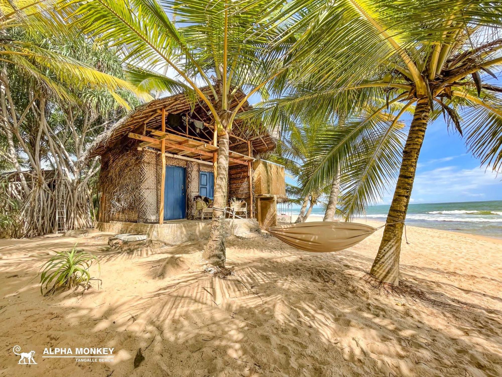 The Alpha Monkey Hotel & Tree House Tangalle Eksteriør billede