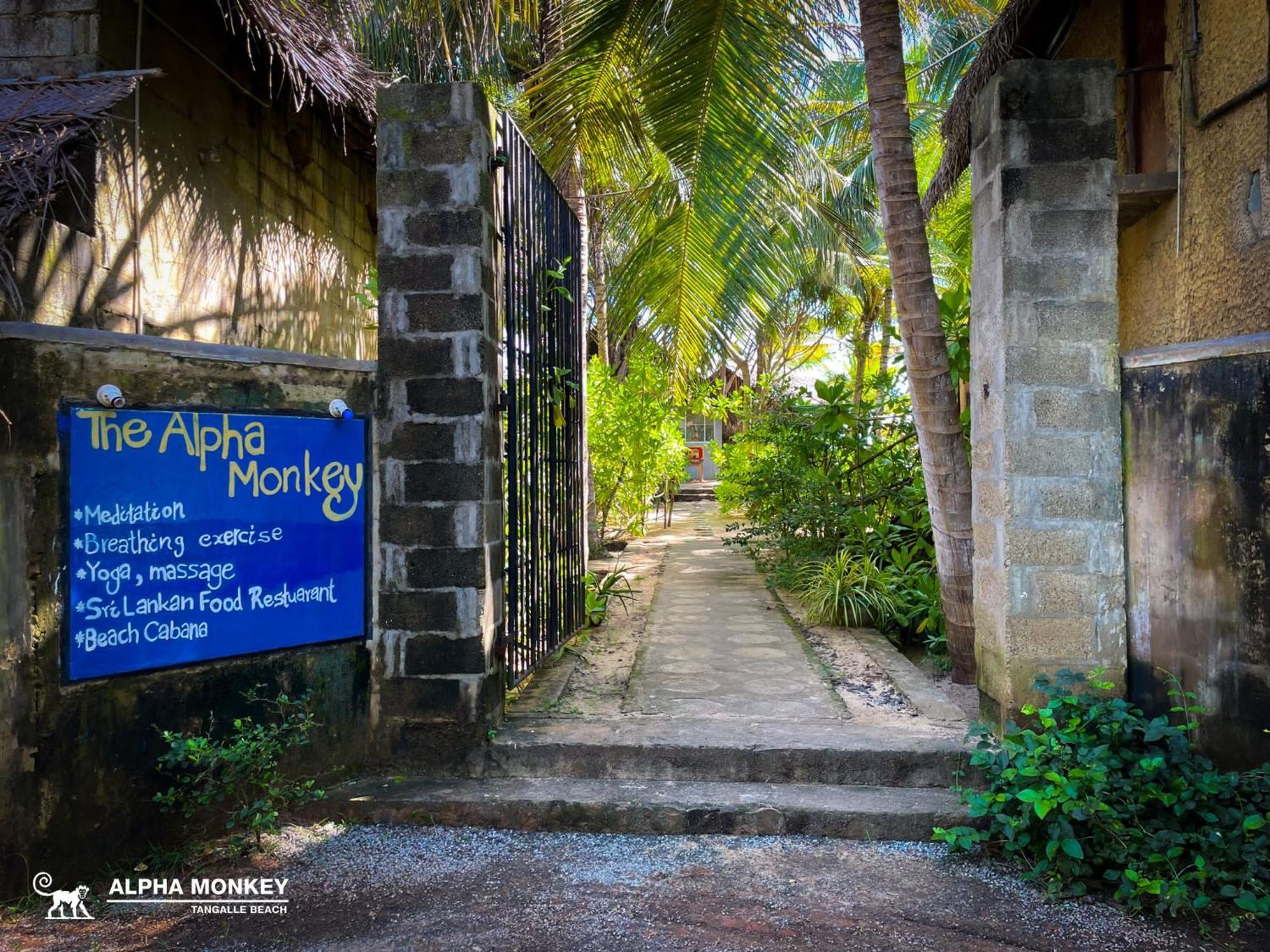 The Alpha Monkey Hotel & Tree House Tangalle Eksteriør billede