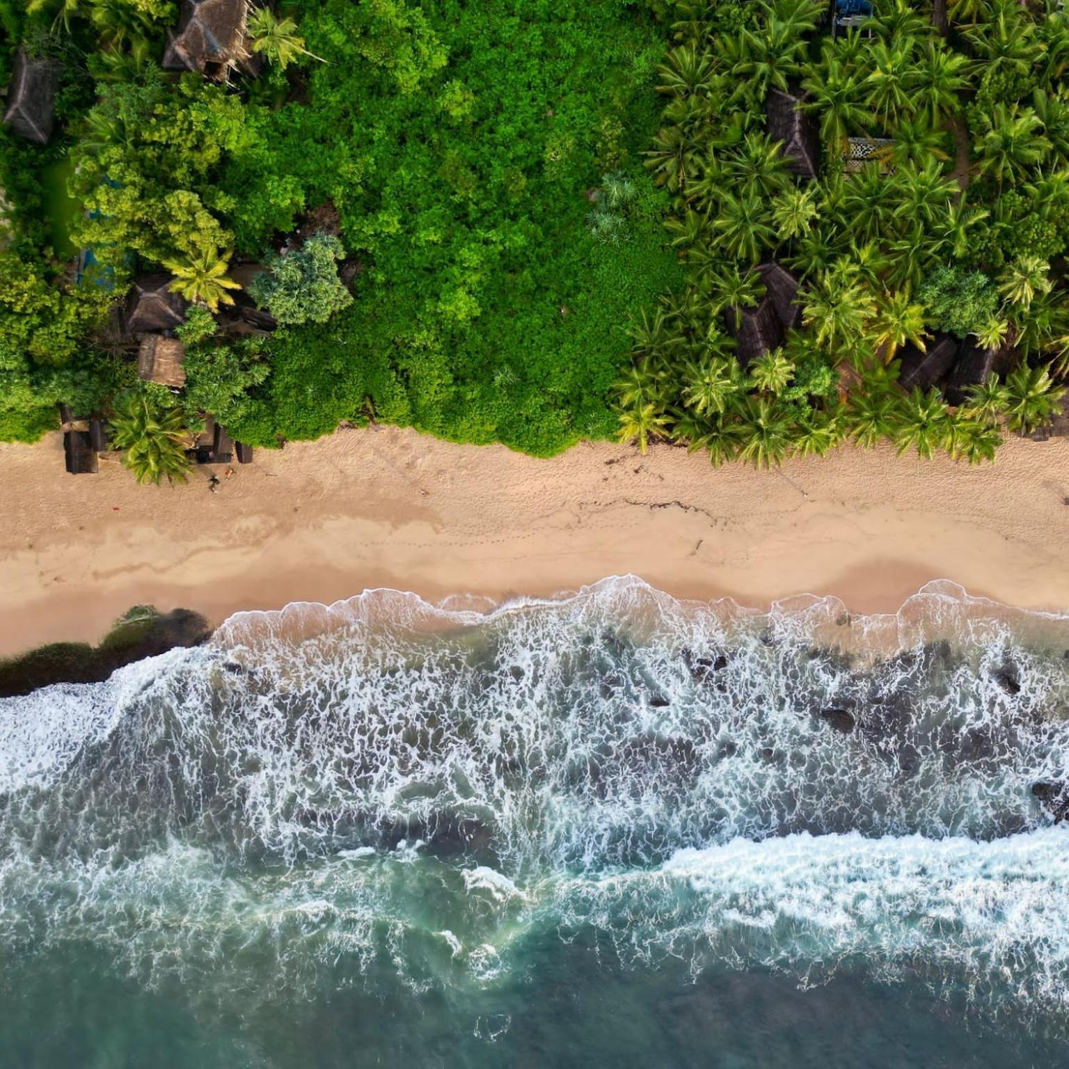 The Alpha Monkey Hotel & Tree House Tangalle Eksteriør billede