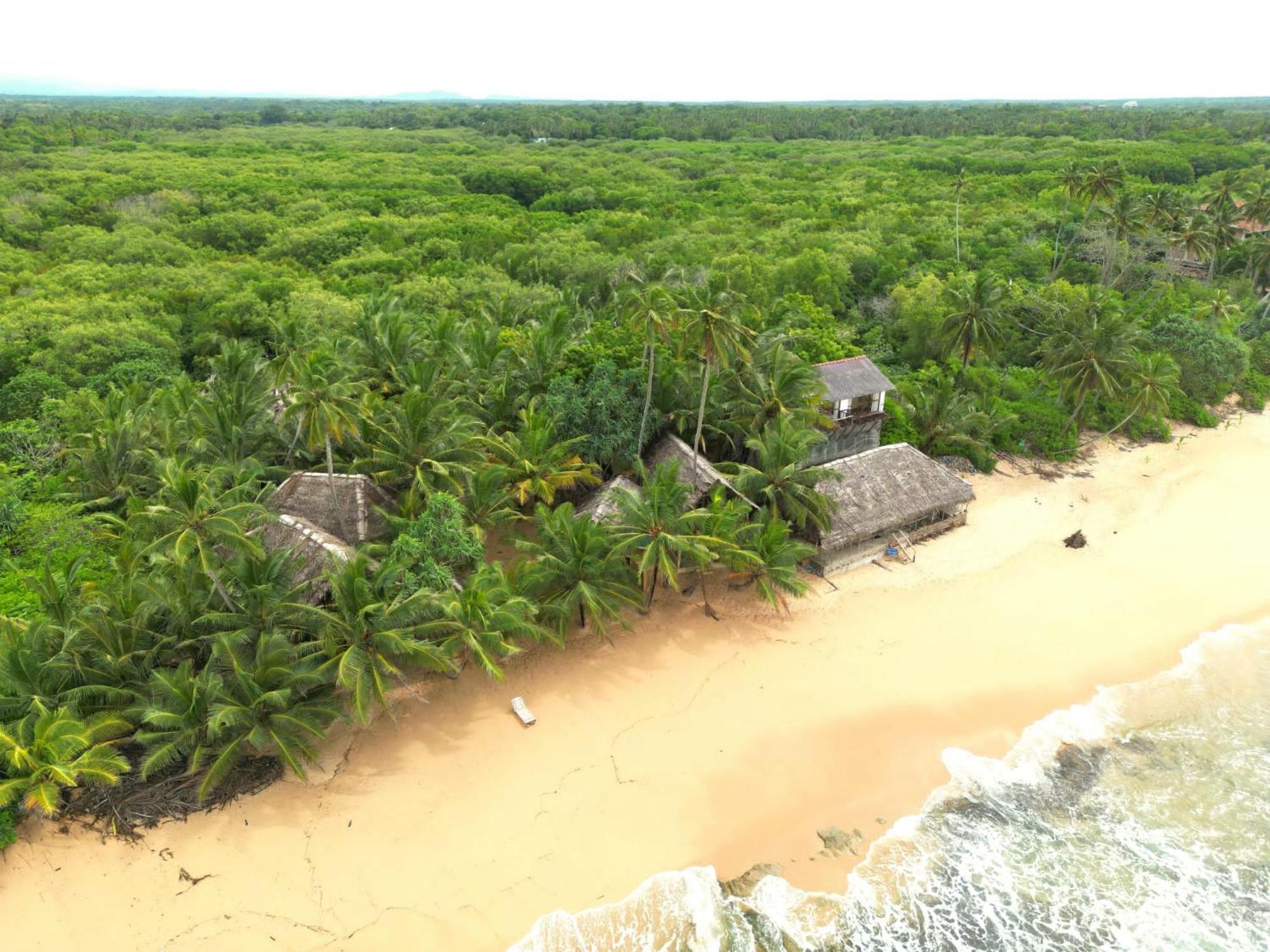 The Alpha Monkey Hotel & Tree House Tangalle Eksteriør billede