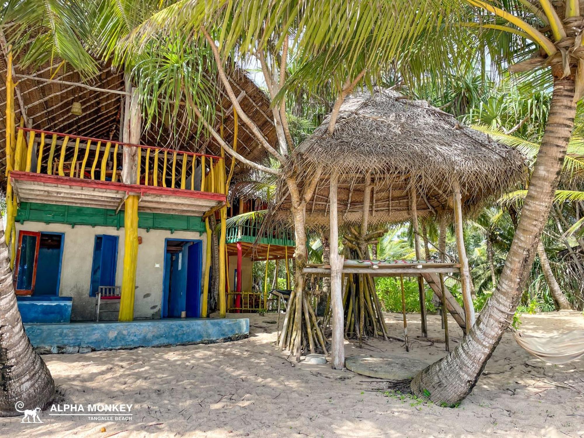 The Alpha Monkey Hotel & Tree House Tangalle Værelse billede