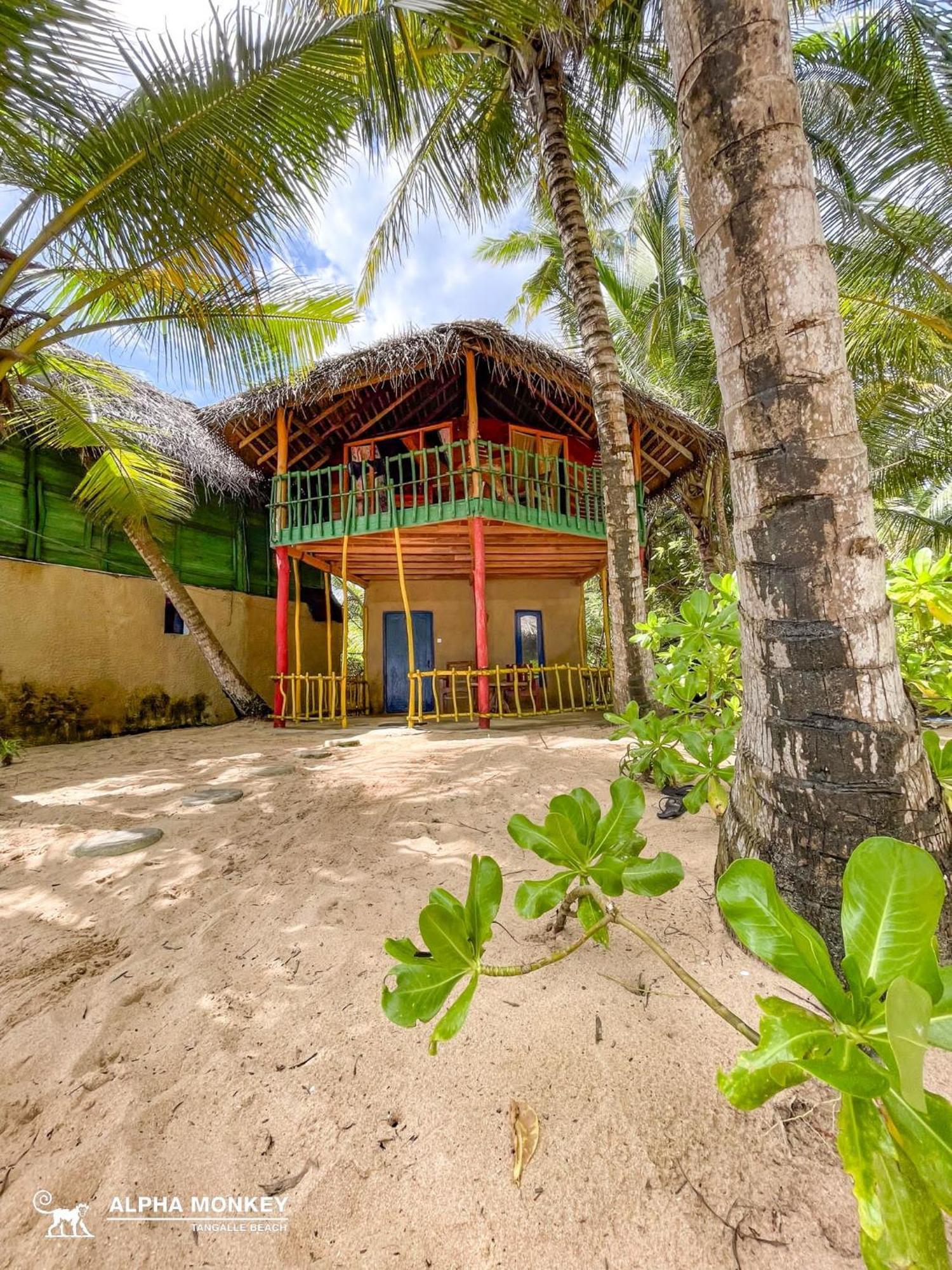 The Alpha Monkey Hotel & Tree House Tangalle Værelse billede