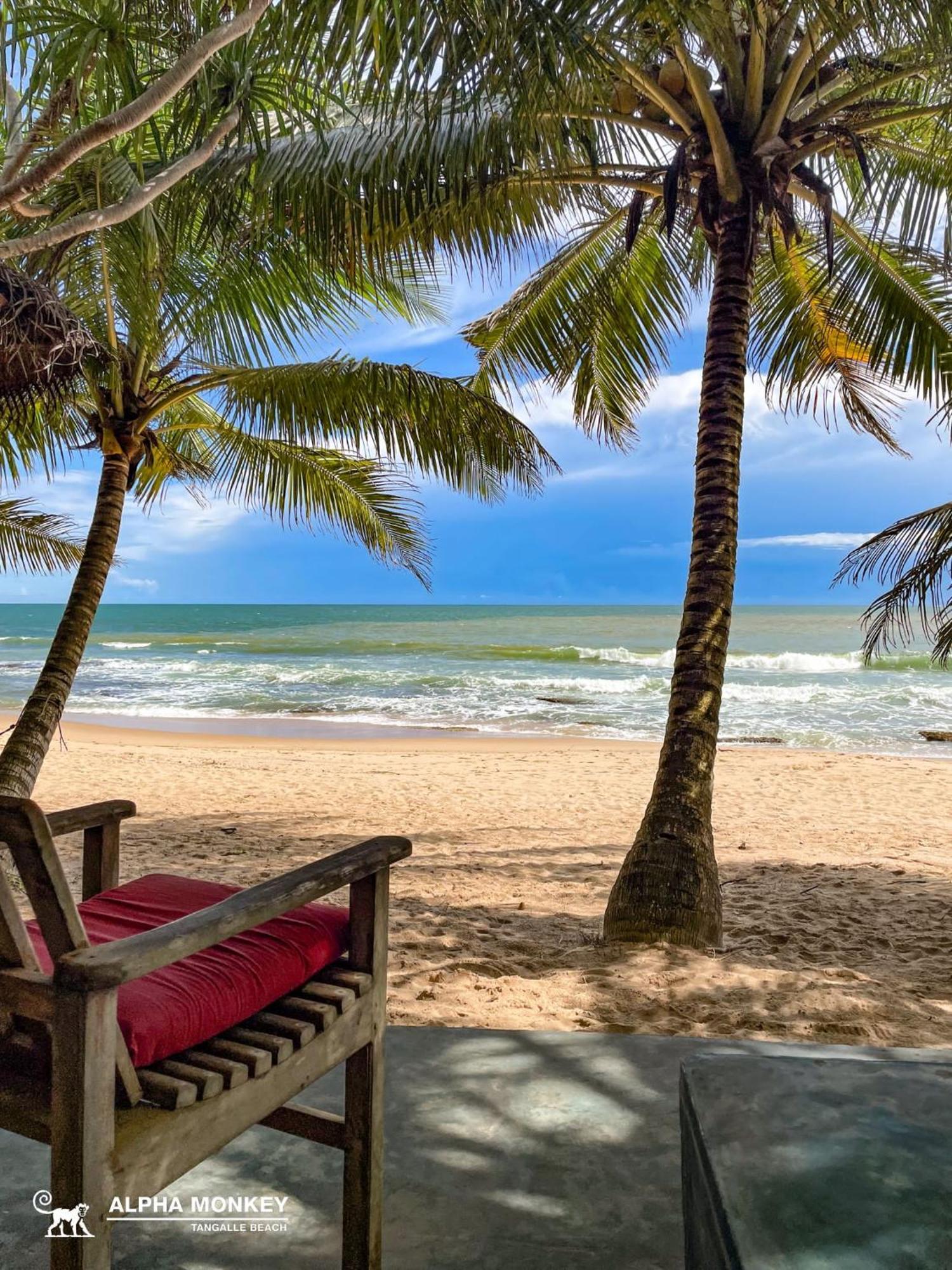 The Alpha Monkey Hotel & Tree House Tangalle Værelse billede