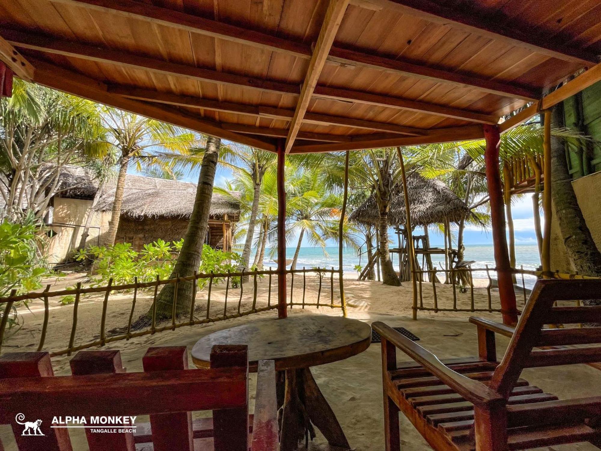 The Alpha Monkey Hotel & Tree House Tangalle Værelse billede