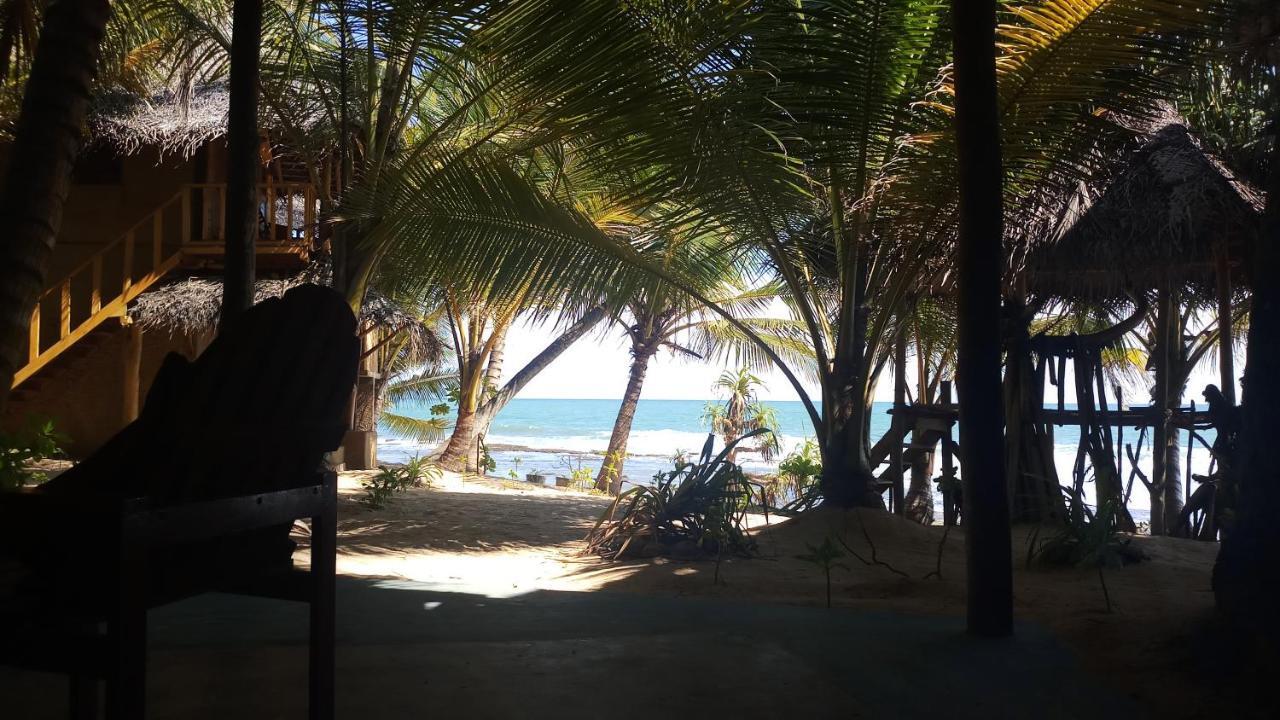 The Alpha Monkey Hotel & Tree House Tangalle Eksteriør billede