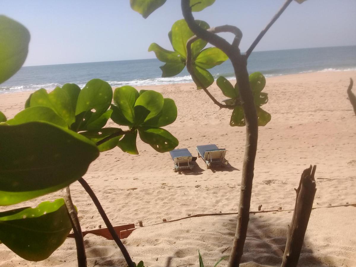 The Alpha Monkey Hotel & Tree House Tangalle Eksteriør billede
